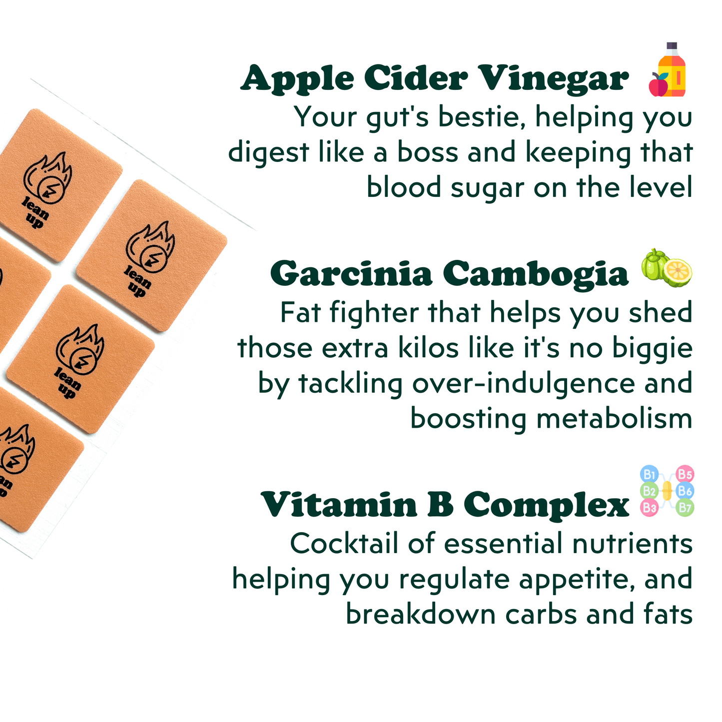 Main ingredients of Patch Up's Lean Up weight management patches containing Garcinia Cambogia and Apple Cider Vinegar which boosts metabolism and reduce cravings.