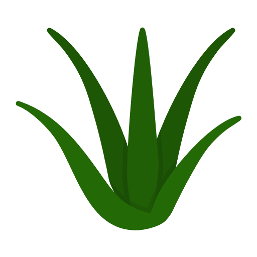 aloevera